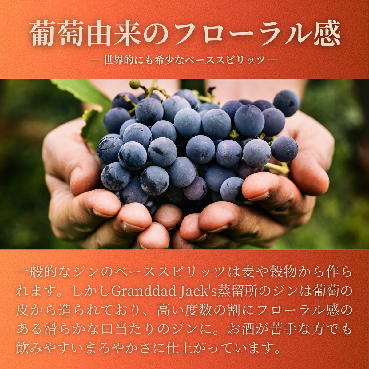 Granddad Jack's Peachy Gin ピーチジン リミテッドリリース クラフトジン 500ml 日本入荷100本限定（ボトルのみ／ギフトボックス入り／グラスセット）
